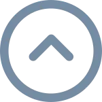 Chevron Circle Up SVG Icon
